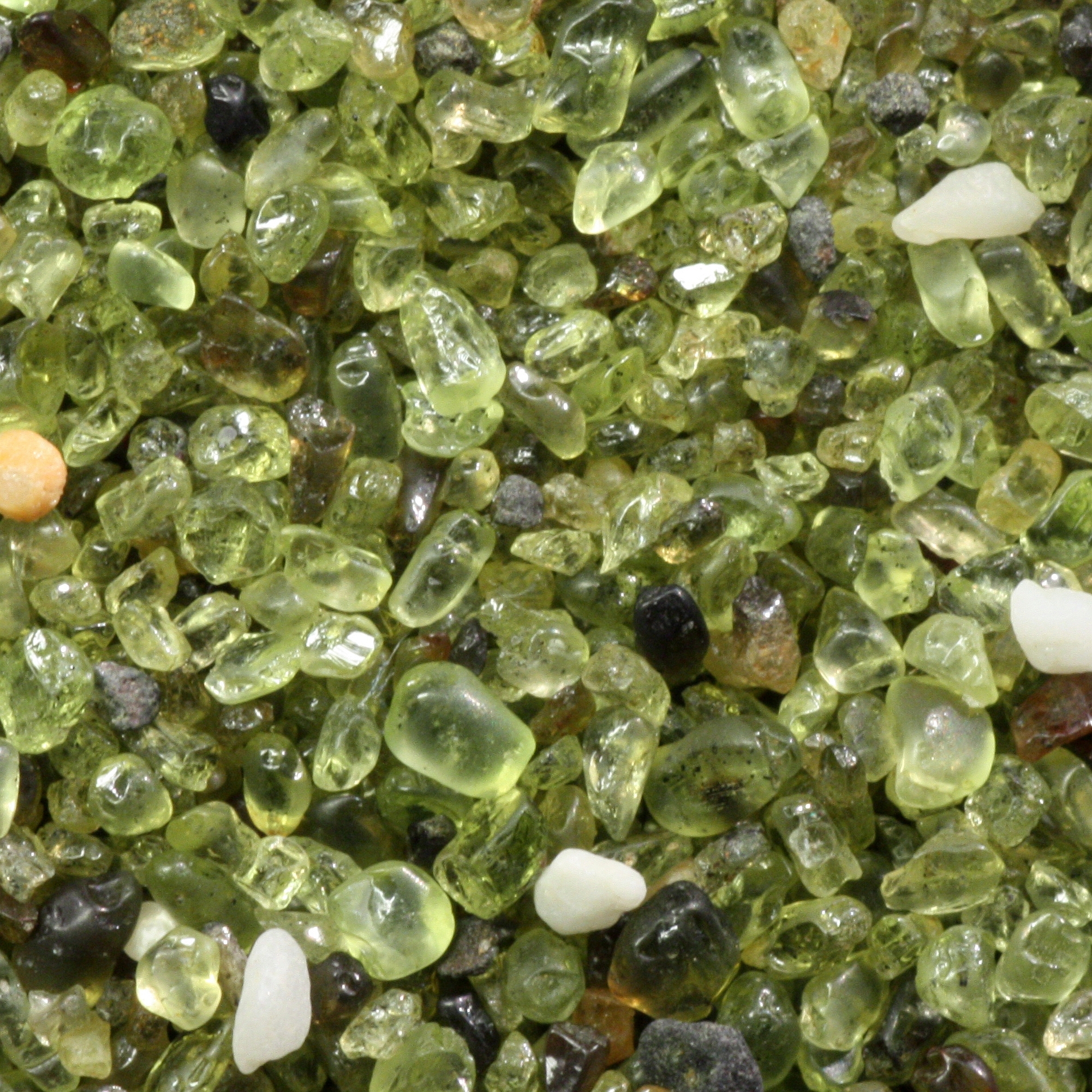 Fotografia macro reale di sabbia ricca di olivina da Papakōlea, Hawaii
